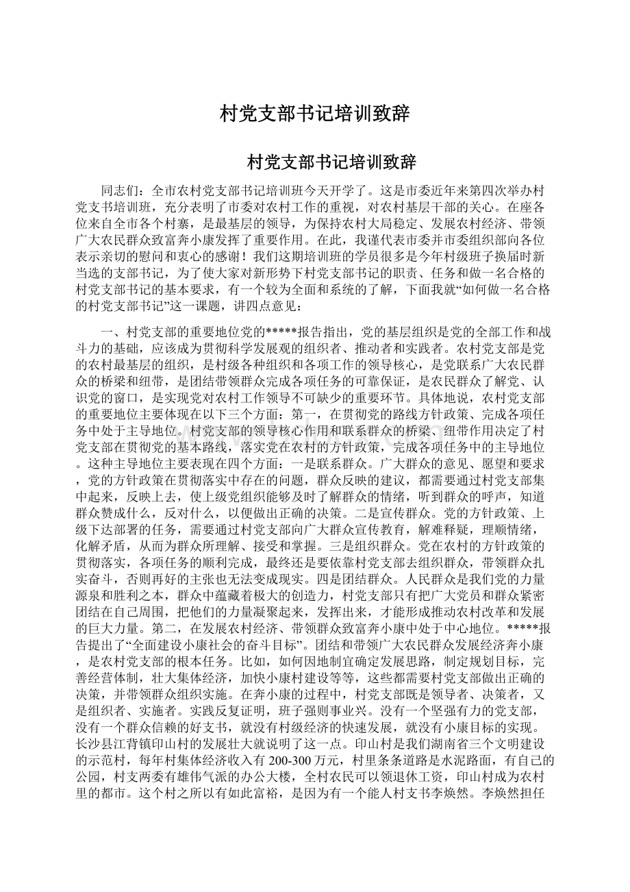 村党支部书记培训致辞Word格式文档下载.docx