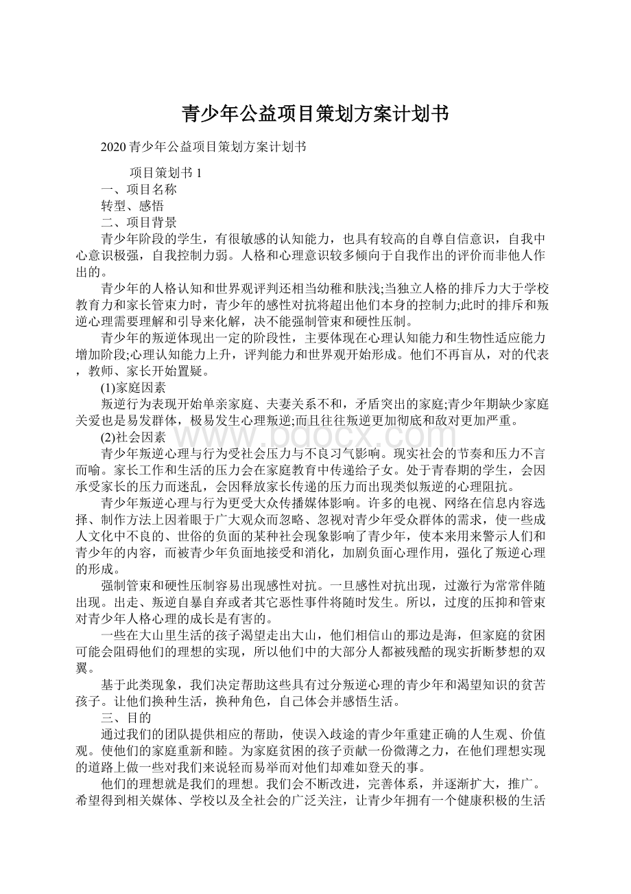 青少年公益项目策划方案计划书文档格式.docx_第1页