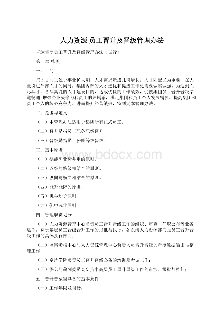 人力资源员工晋升及晋级管理办法文档格式.docx