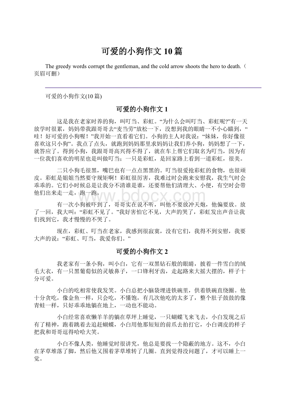 可爱的小狗作文10篇Word文档格式.docx_第1页