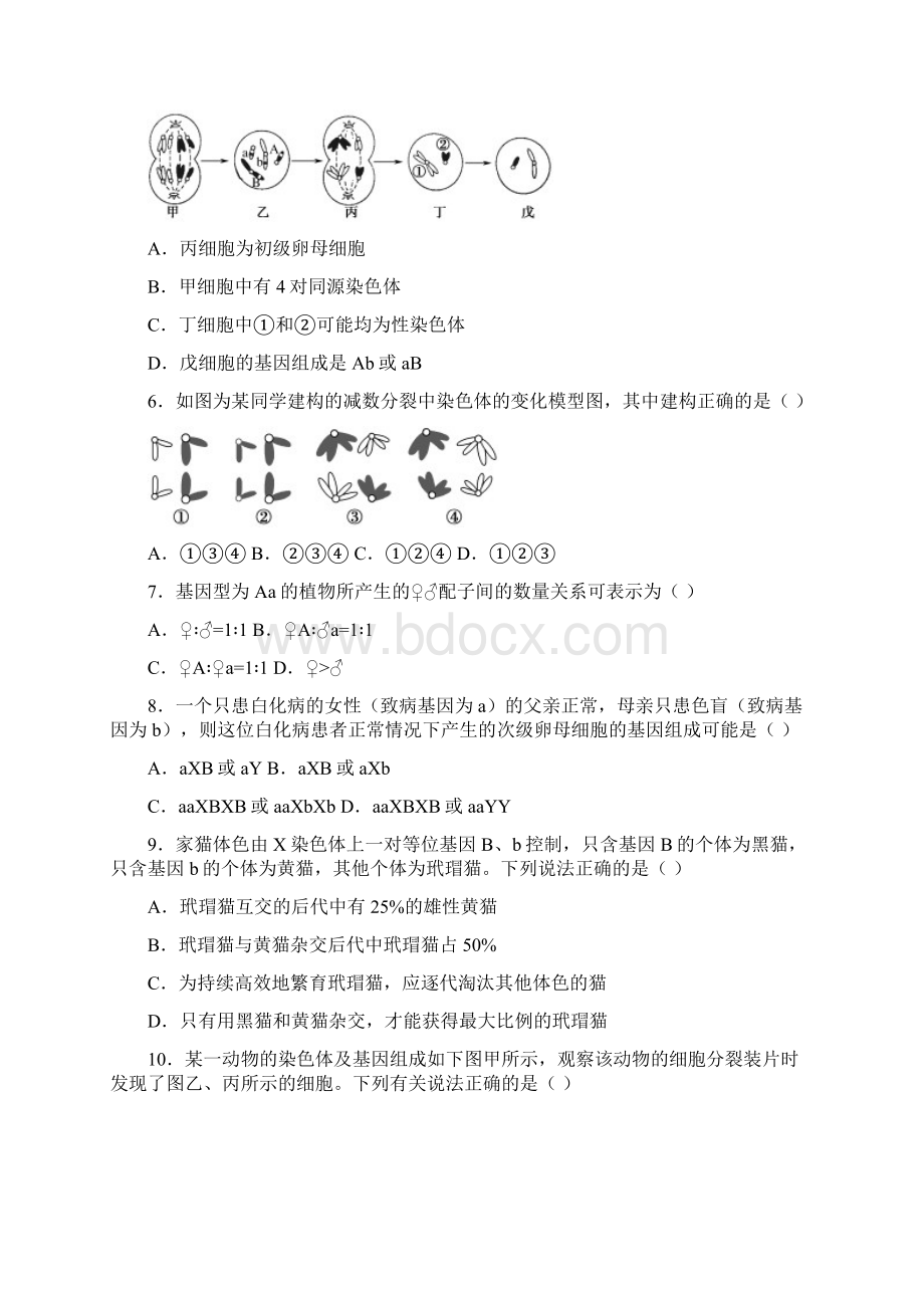 人教版高中生物必修2第二章章末复习《基因和染色体的关系》单元综合检测二.docx_第2页