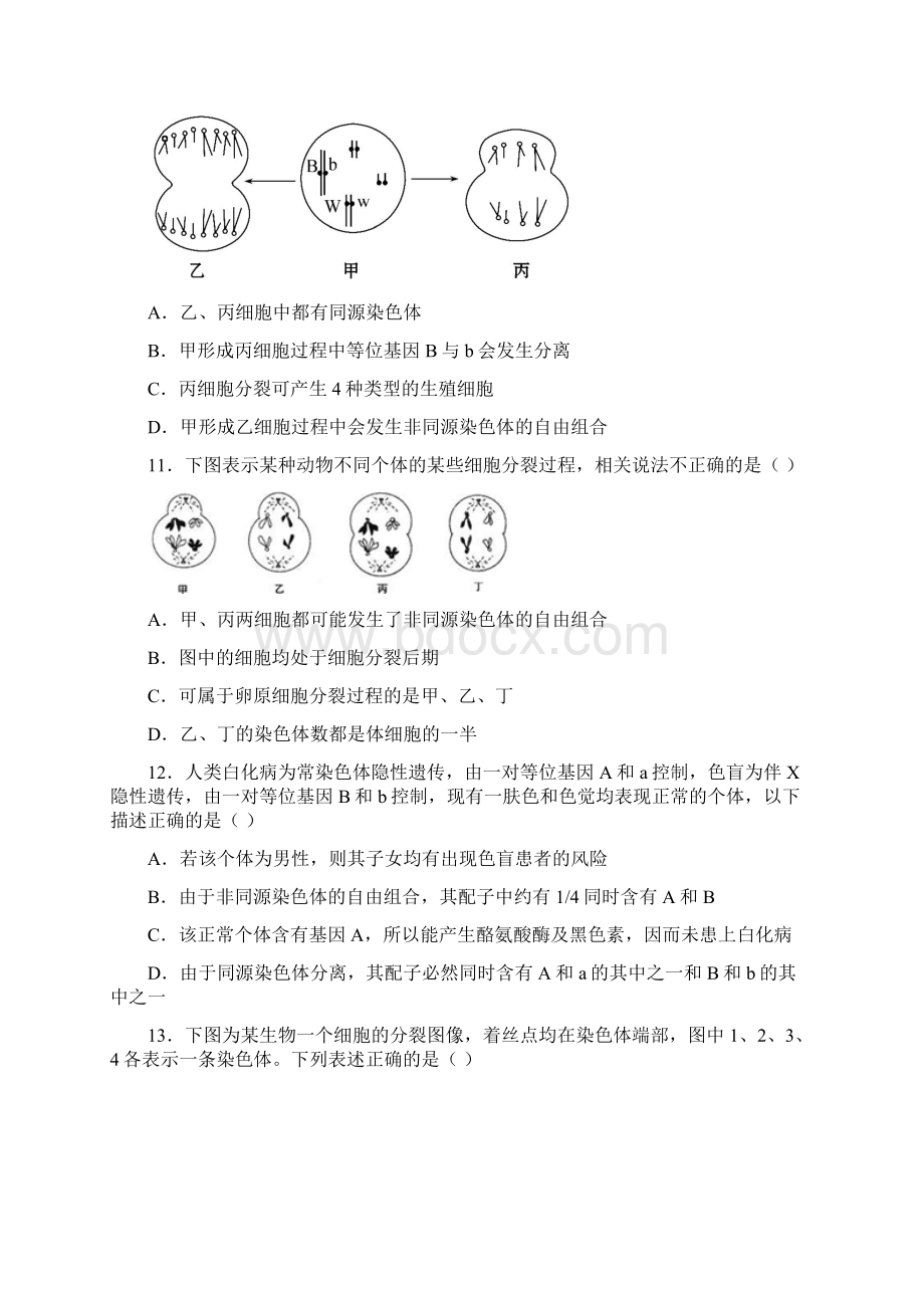 人教版高中生物必修2第二章章末复习《基因和染色体的关系》单元综合检测二.docx_第3页