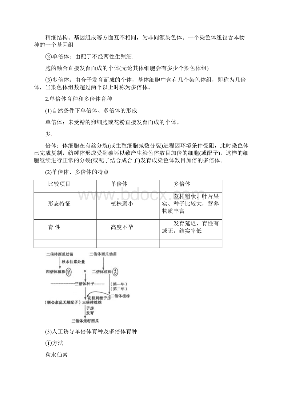 高考生物《第四部分遗传与进化》全优精品导学资料 新人教版.docx_第2页