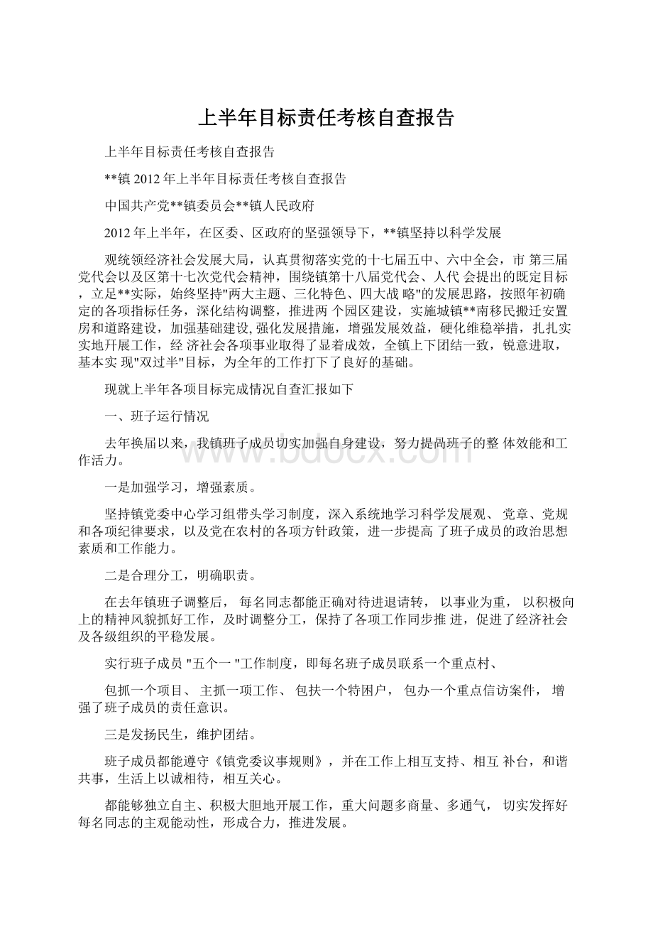 上半年目标责任考核自查报告Word格式文档下载.docx