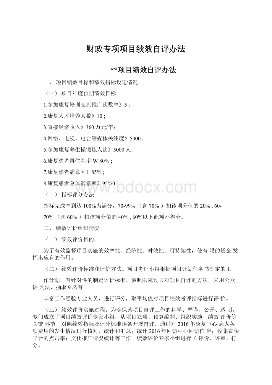 财政专项项目绩效自评办法Word下载.docx