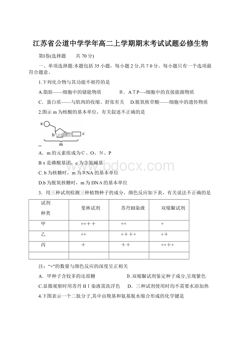 江苏省公道中学学年高二上学期期末考试试题必修生物.docx