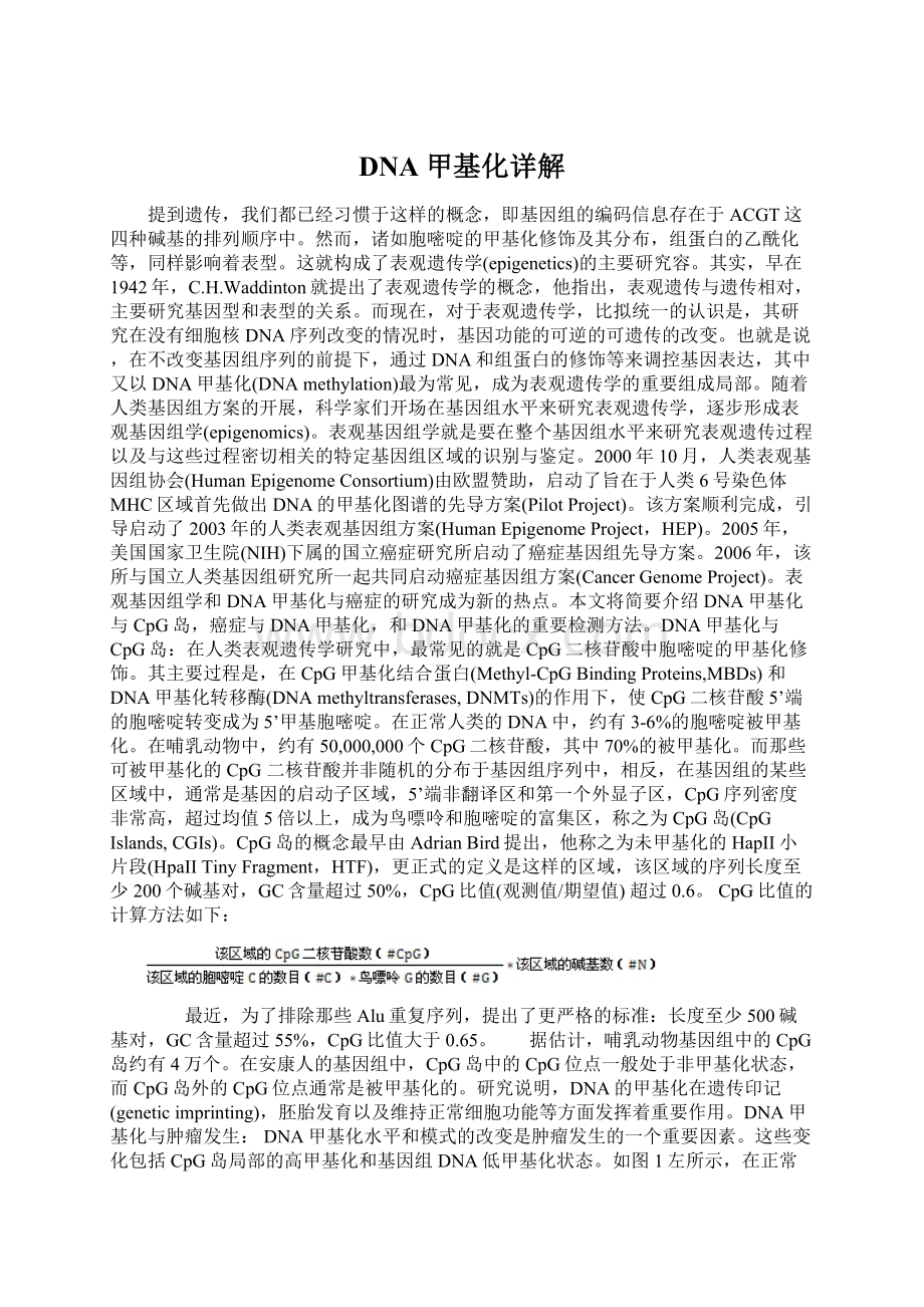 DNA甲基化详解Word格式文档下载.docx_第1页