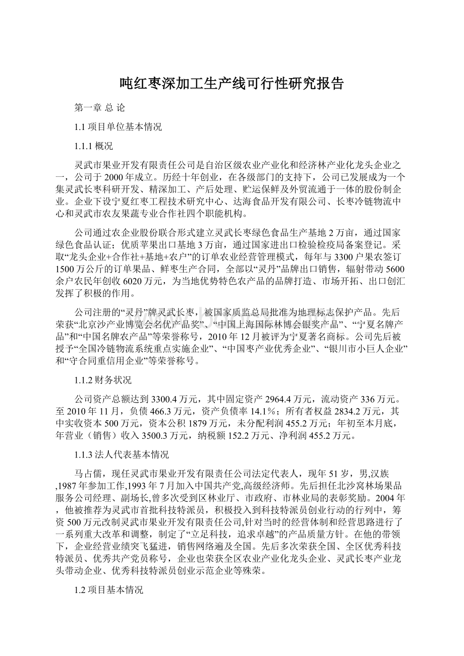 吨红枣深加工生产线可行性研究报告Word下载.docx