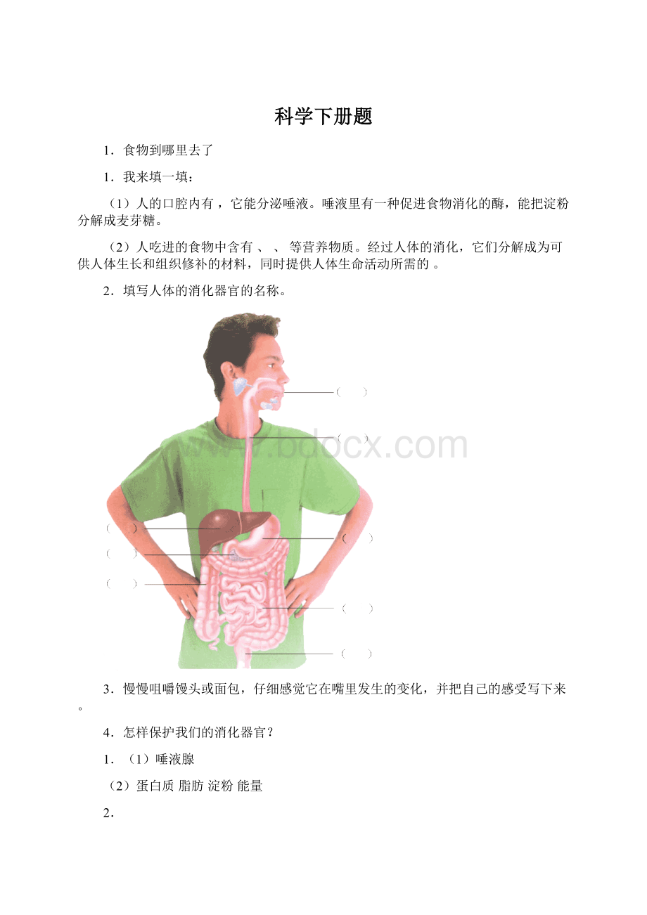 科学下册题文档格式.docx_第1页