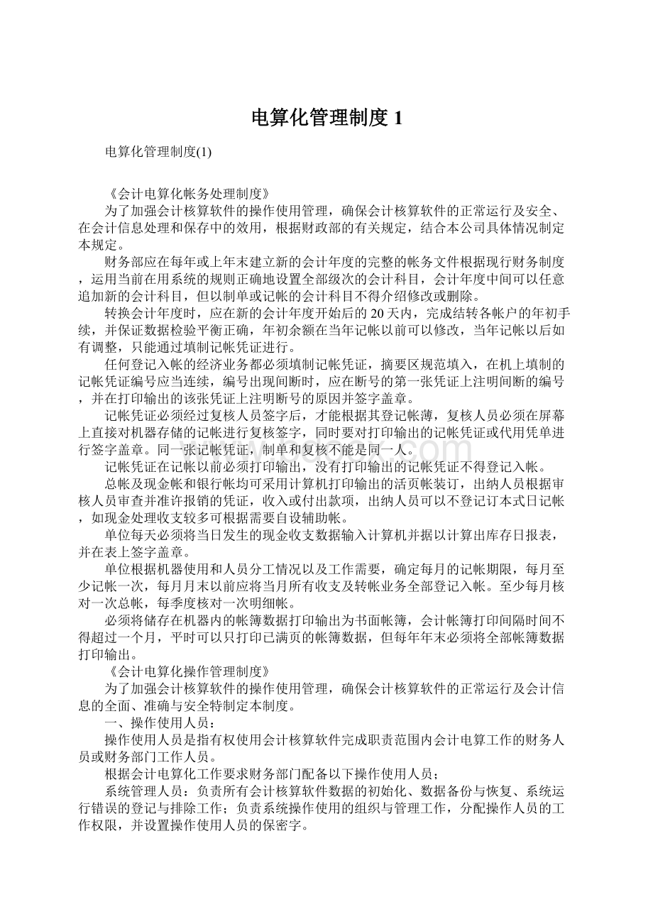 电算化管理制度1Word格式文档下载.docx