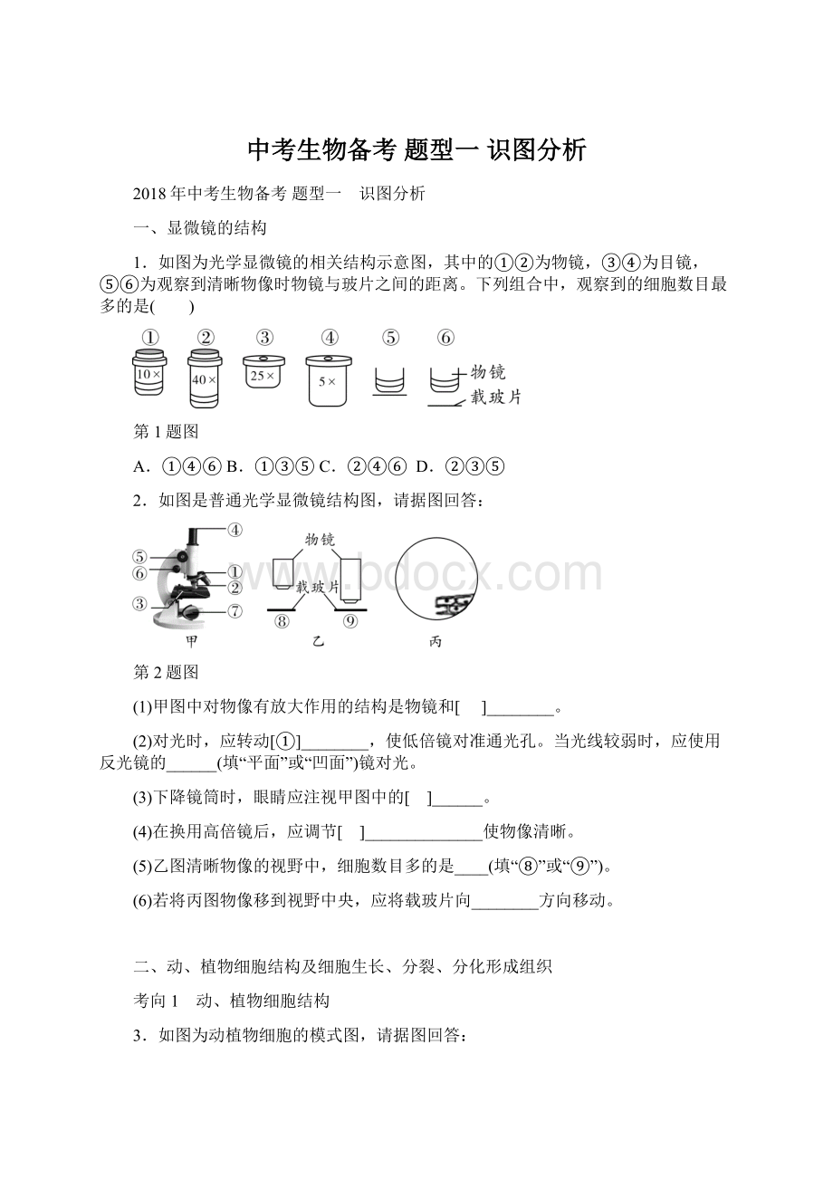 中考生物备考题型一 识图分析Word文档格式.docx