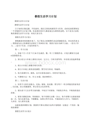 暑假生活学习计划.docx