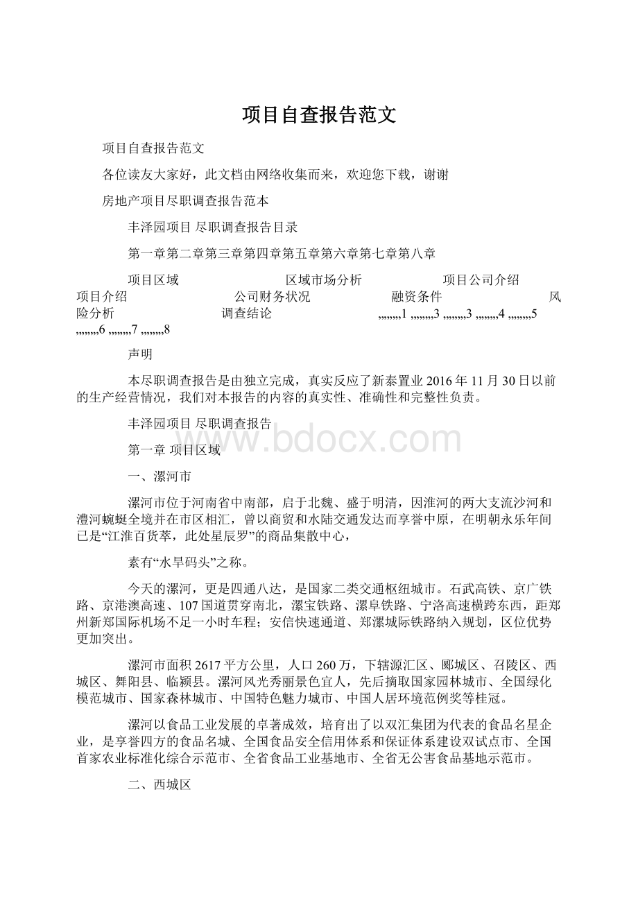 项目自查报告范文文档格式.docx_第1页