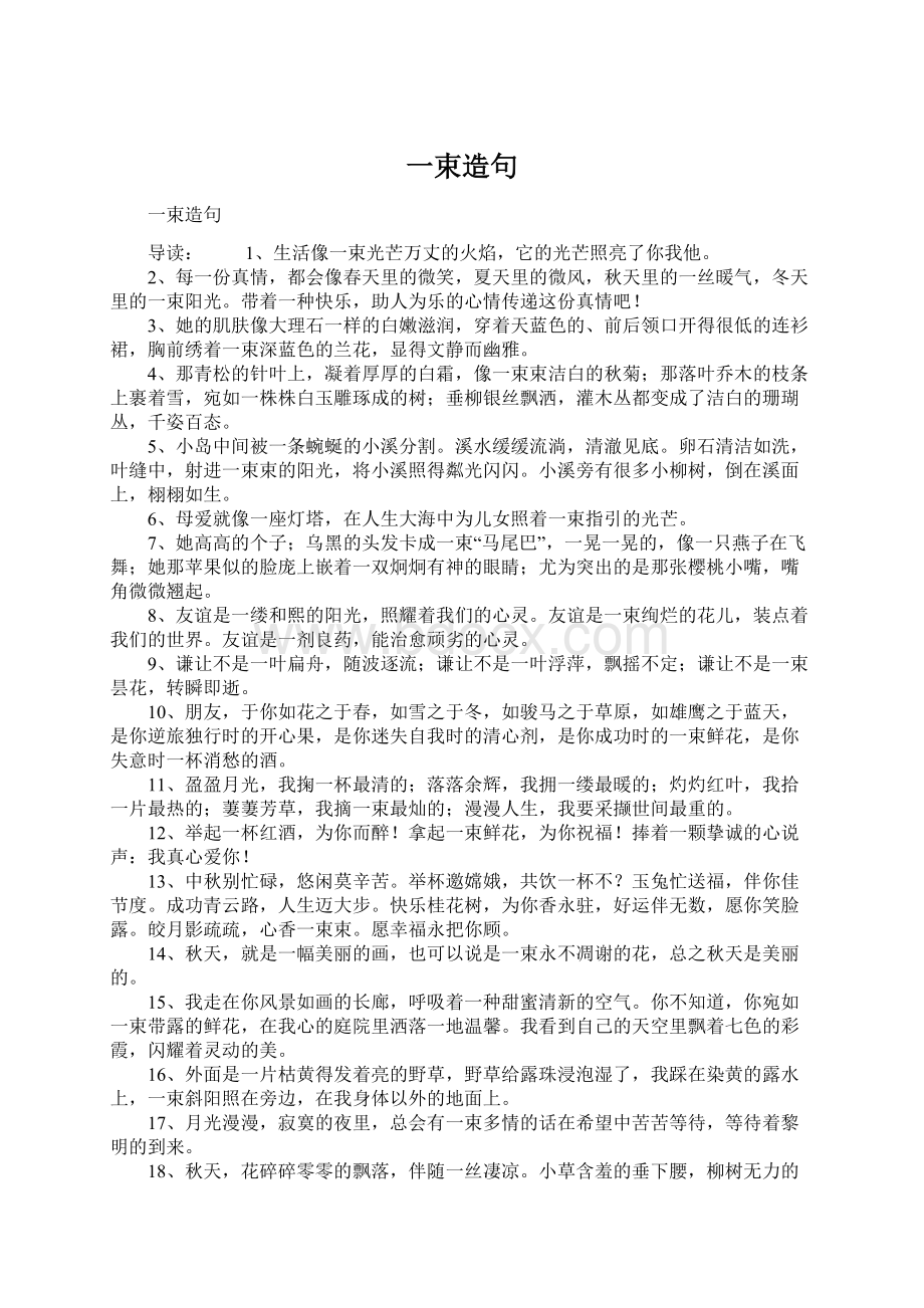 一束造句Word文档格式.docx