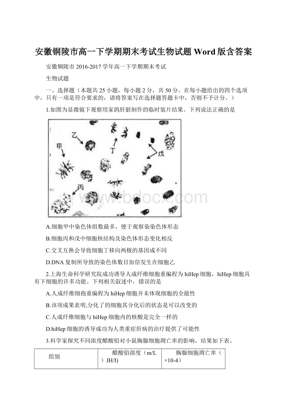 安徽铜陵市高一下学期期末考试生物试题Word版含答案Word格式文档下载.docx