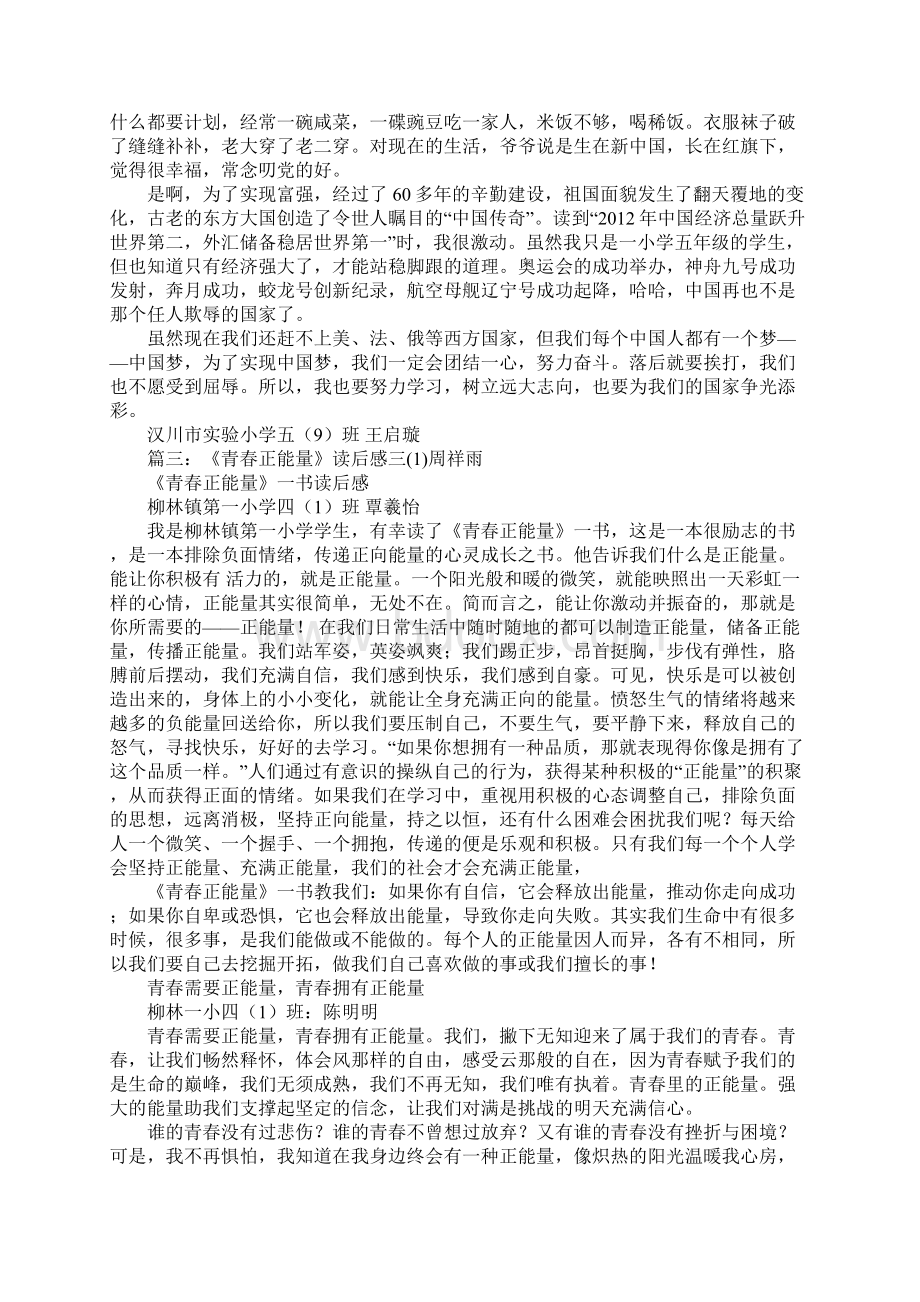 青春正能量青春正能量读后感.docx_第2页