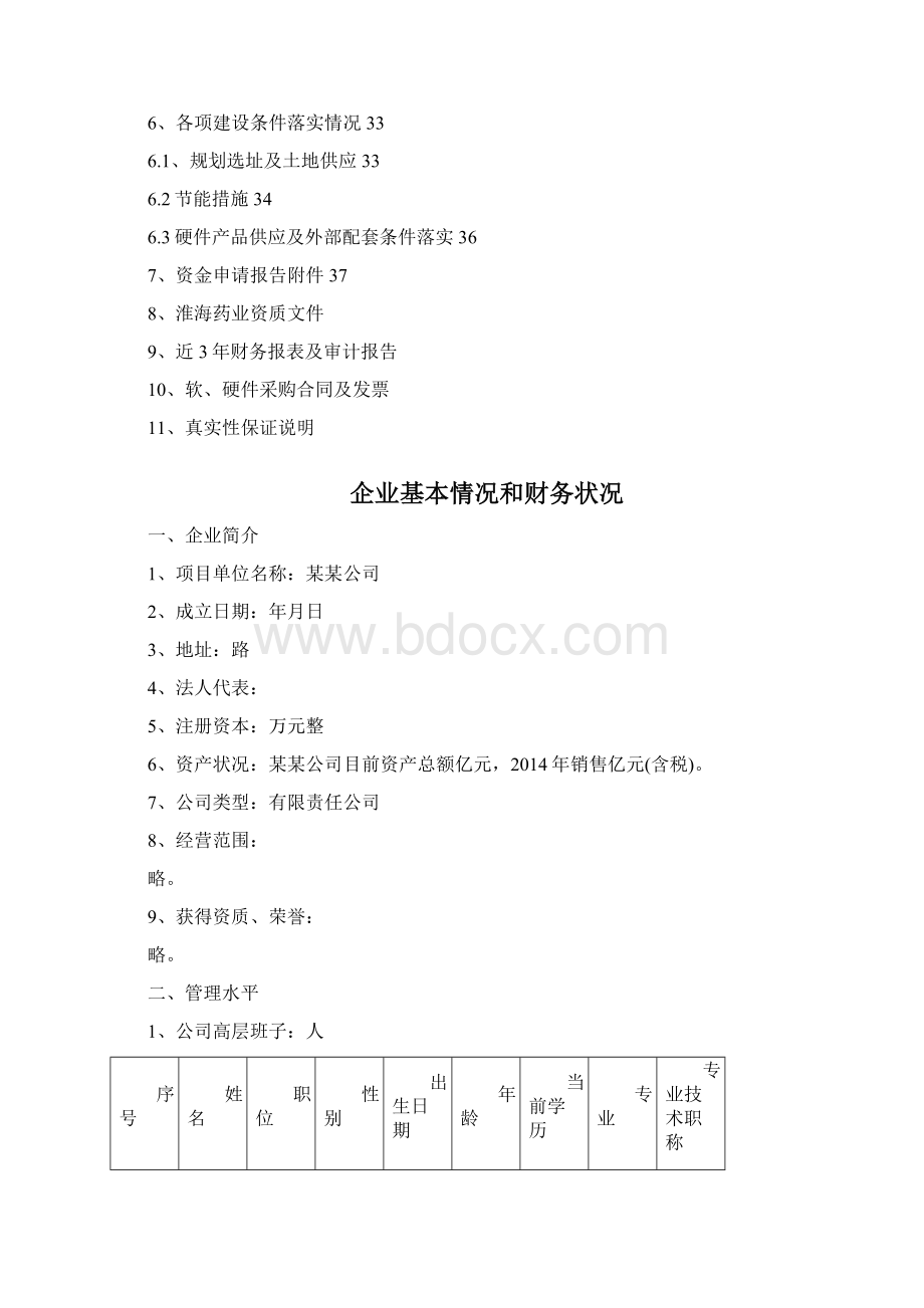 电子商务平台项目申报书.docx_第2页