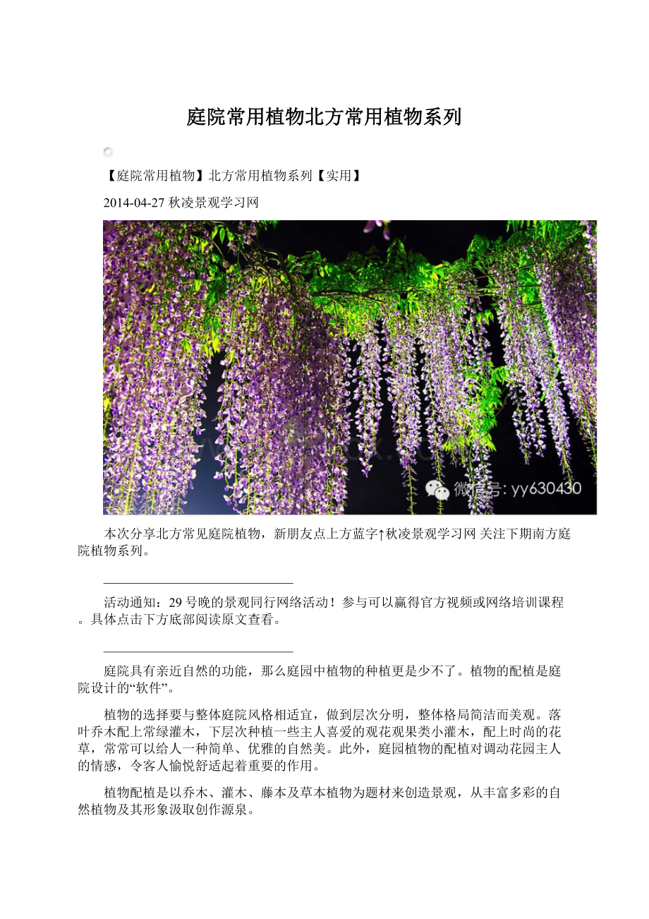 庭院常用植物北方常用植物系列Word文档下载推荐.docx_第1页