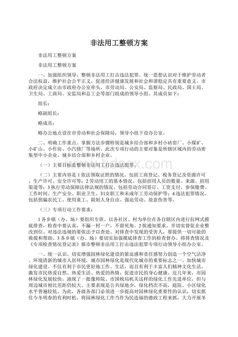 非法用工整顿方案Word文档格式.docx