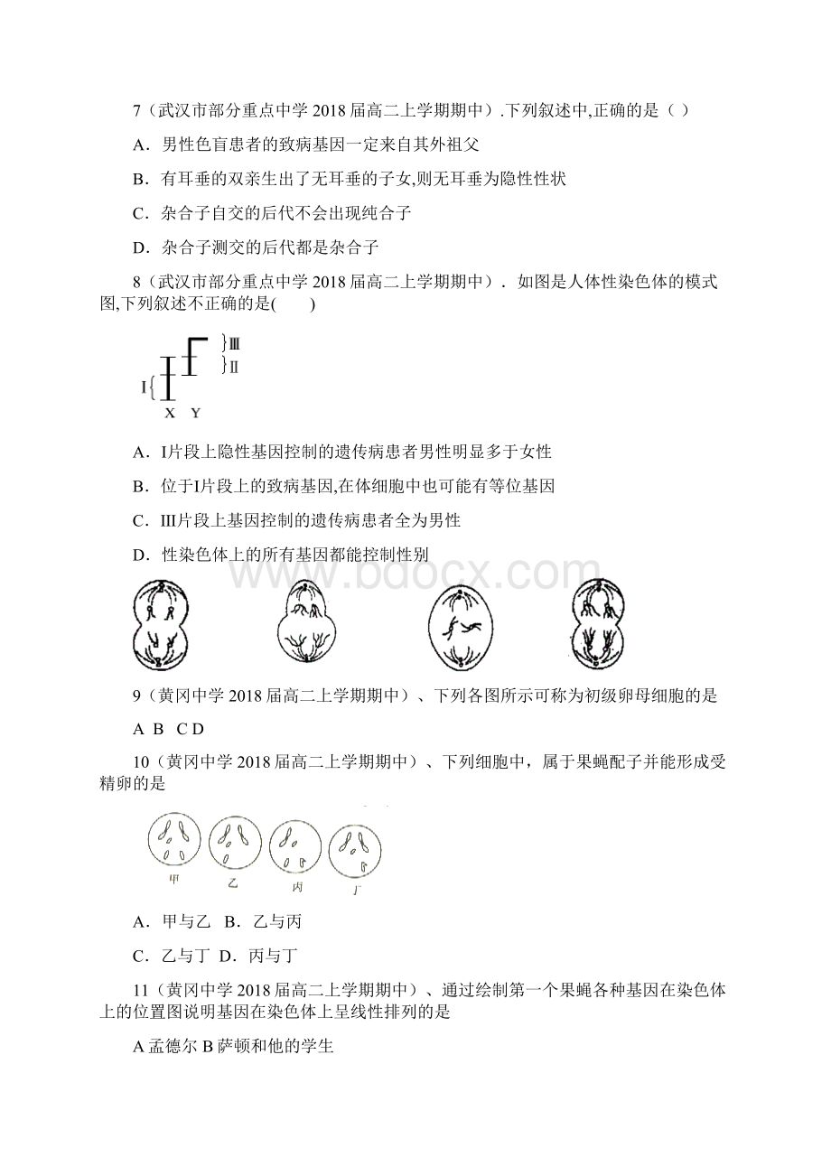 最新高中生物高一生物基因和染色体的关系单元练习题1Word文档下载推荐.docx_第3页