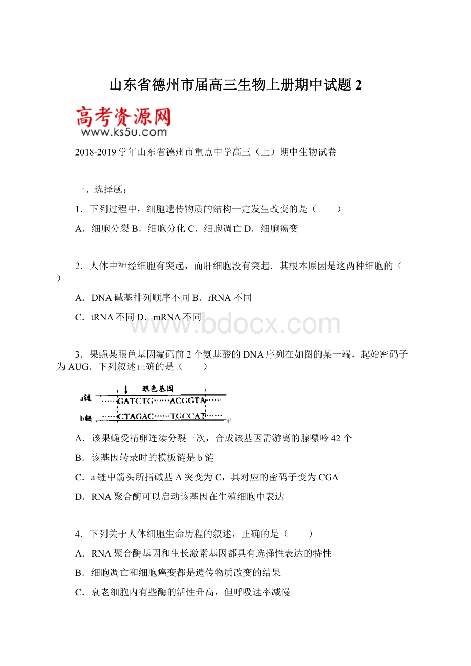 山东省德州市届高三生物上册期中试题2Word文档格式.docx_第1页