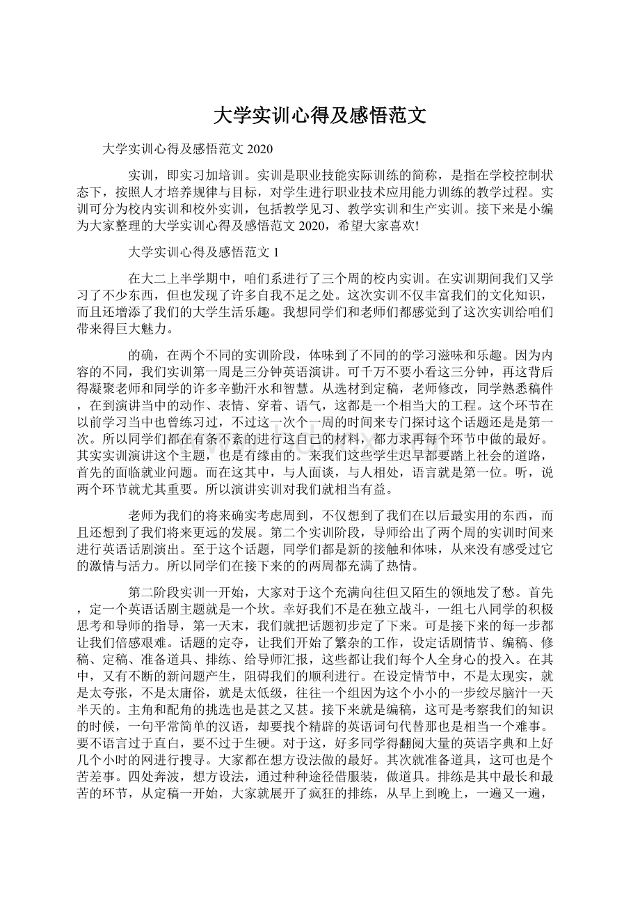 大学实训心得及感悟范文Word格式.docx