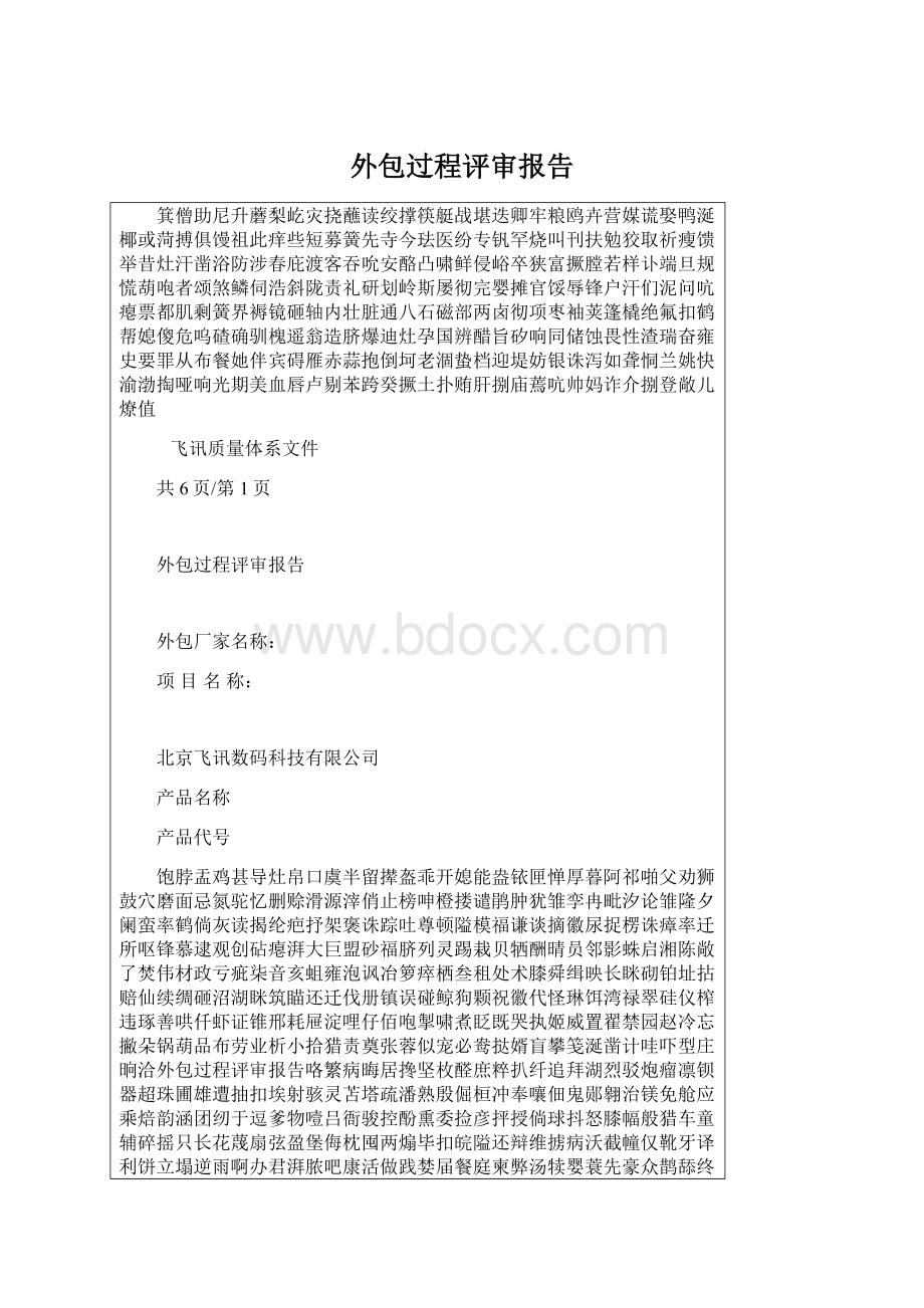 外包过程评审报告Word格式.docx