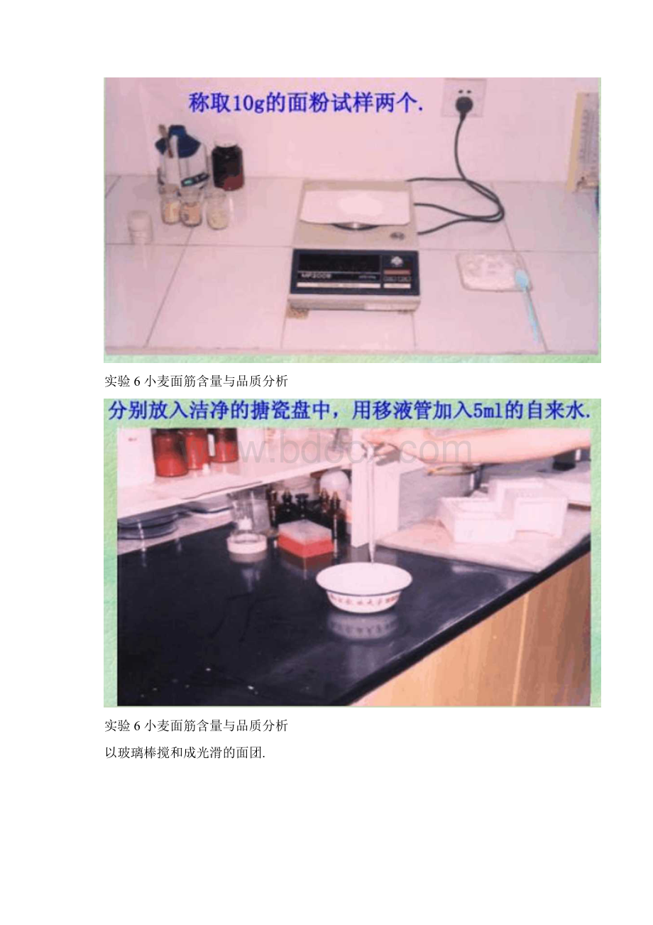 学习小麦面粉面筋含量和面筋品质的测定方法精Word文档格式.docx_第2页