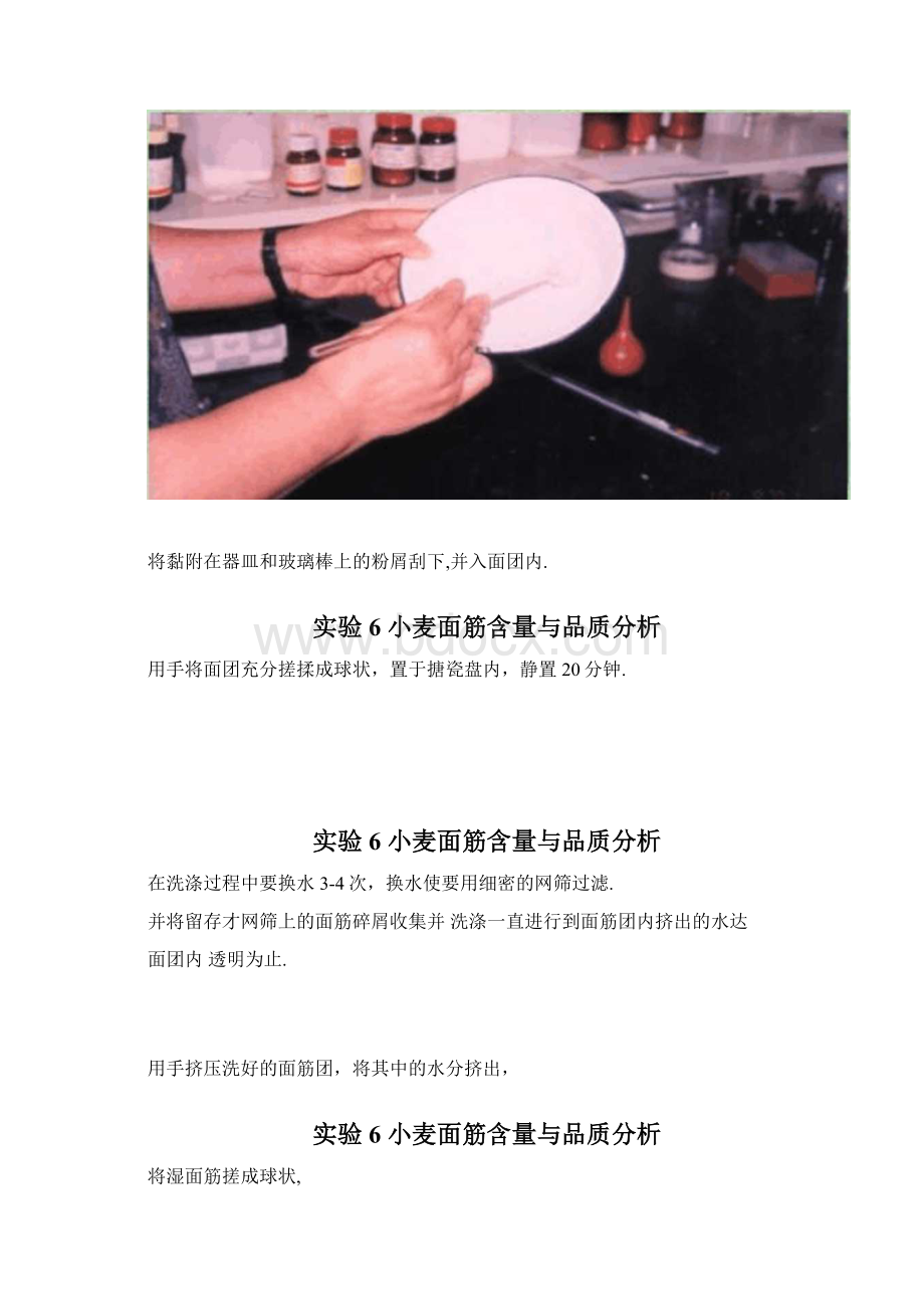 学习小麦面粉面筋含量和面筋品质的测定方法精Word文档格式.docx_第3页