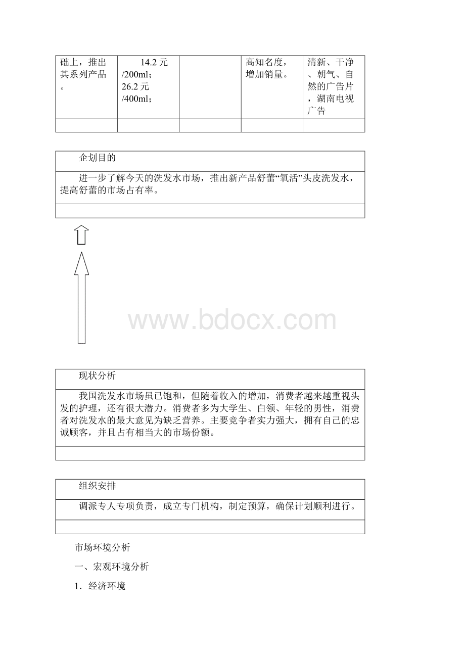 XX品牌洗发水市场推广及营销策划方案.docx_第3页