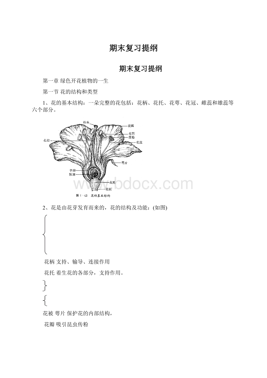 期末复习提纲Word格式.docx_第1页