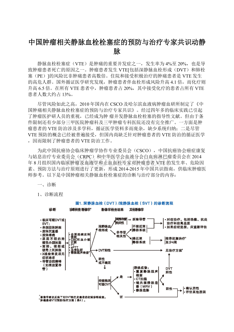 中国肿瘤相关静脉血栓栓塞症的预防与治疗专家共识动静脉.docx