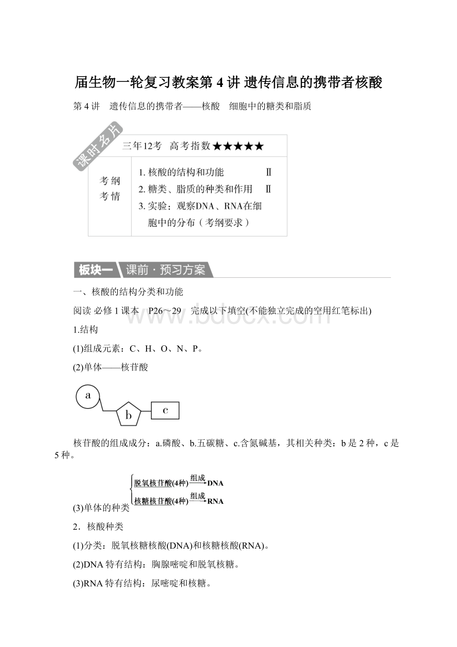 届生物一轮复习教案第4讲 遗传信息的携带者核酸.docx