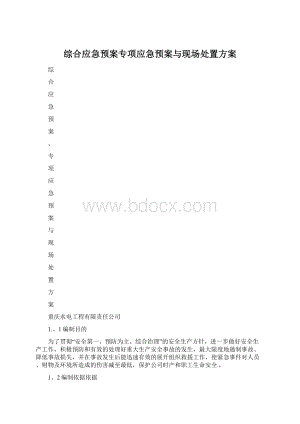 综合应急预案专项应急预案与现场处置方案Word文件下载.docx