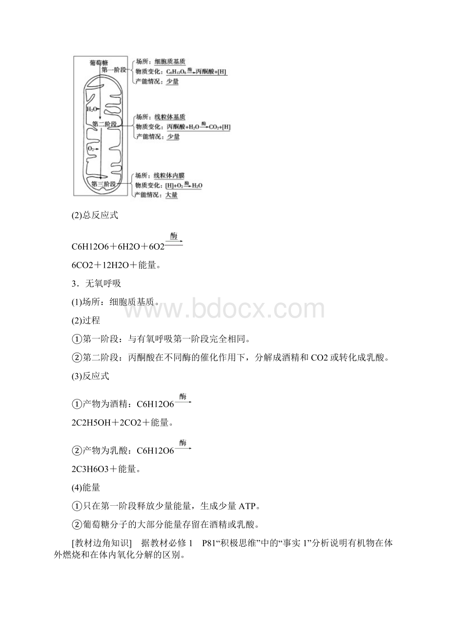 版高考生物一轮复习第3单元光合作用和细胞呼吸第3讲细胞呼吸学案苏教版Word文档下载推荐.docx_第2页