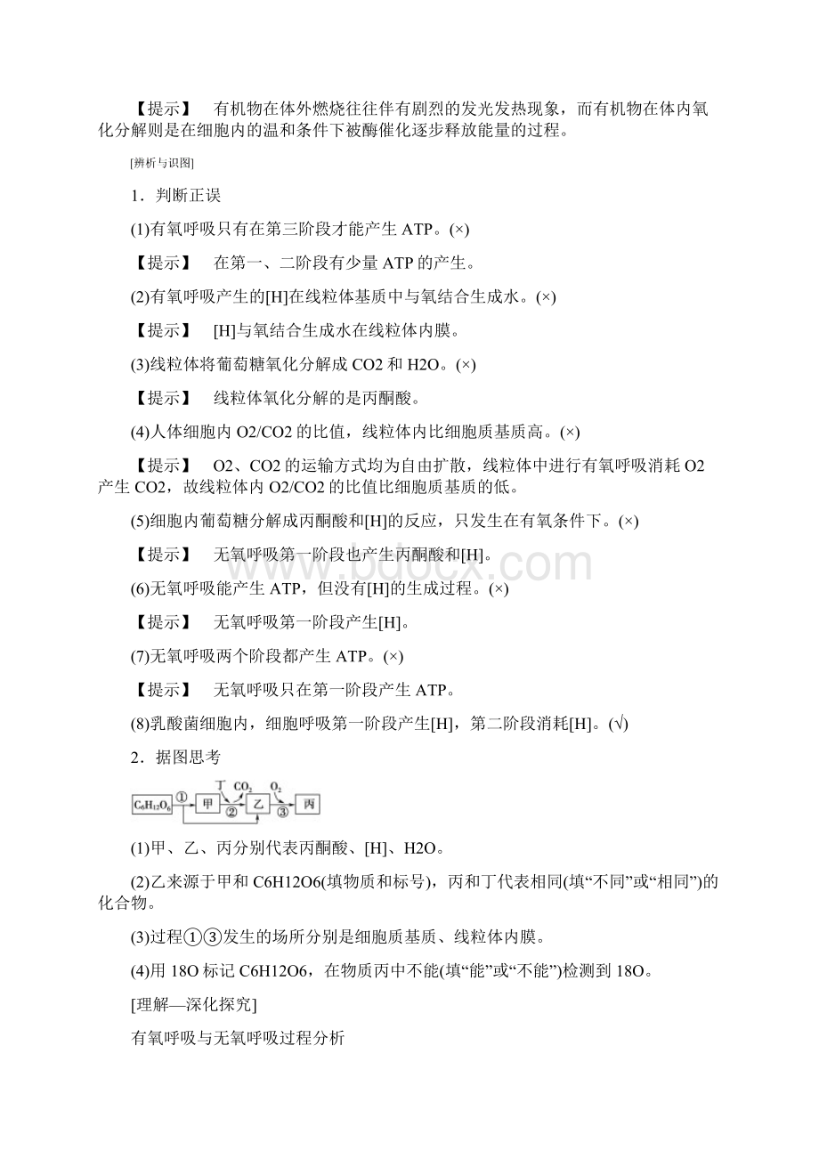 版高考生物一轮复习第3单元光合作用和细胞呼吸第3讲细胞呼吸学案苏教版Word文档下载推荐.docx_第3页