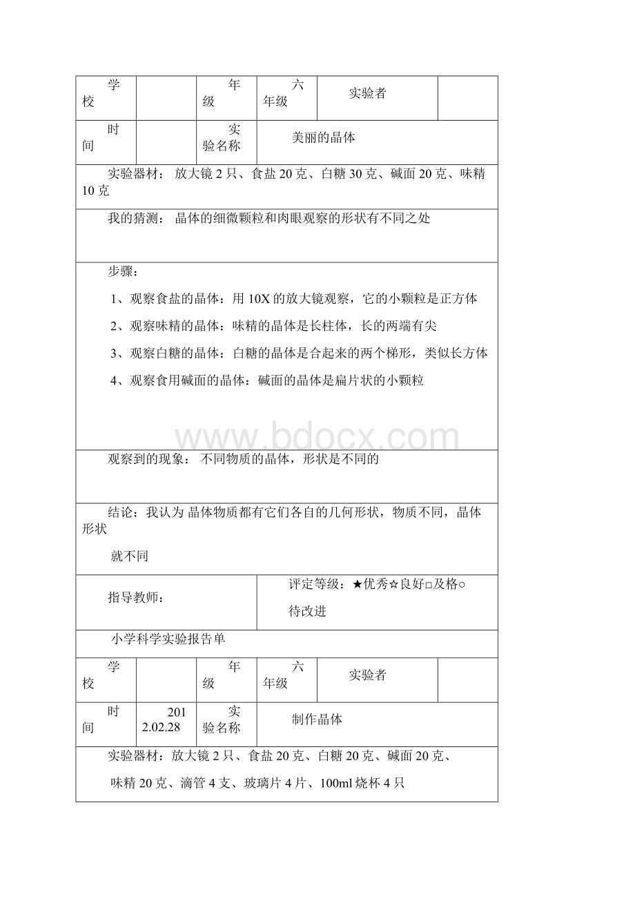 最新教科版六年级科学下册实验报告Word格式.docx_第3页