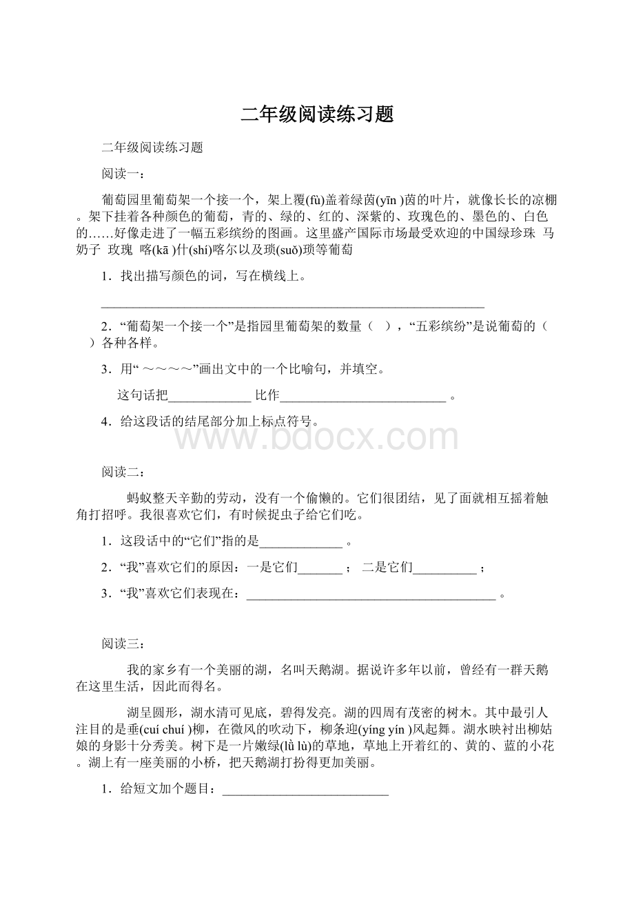 二年级阅读练习题文档格式.docx_第1页