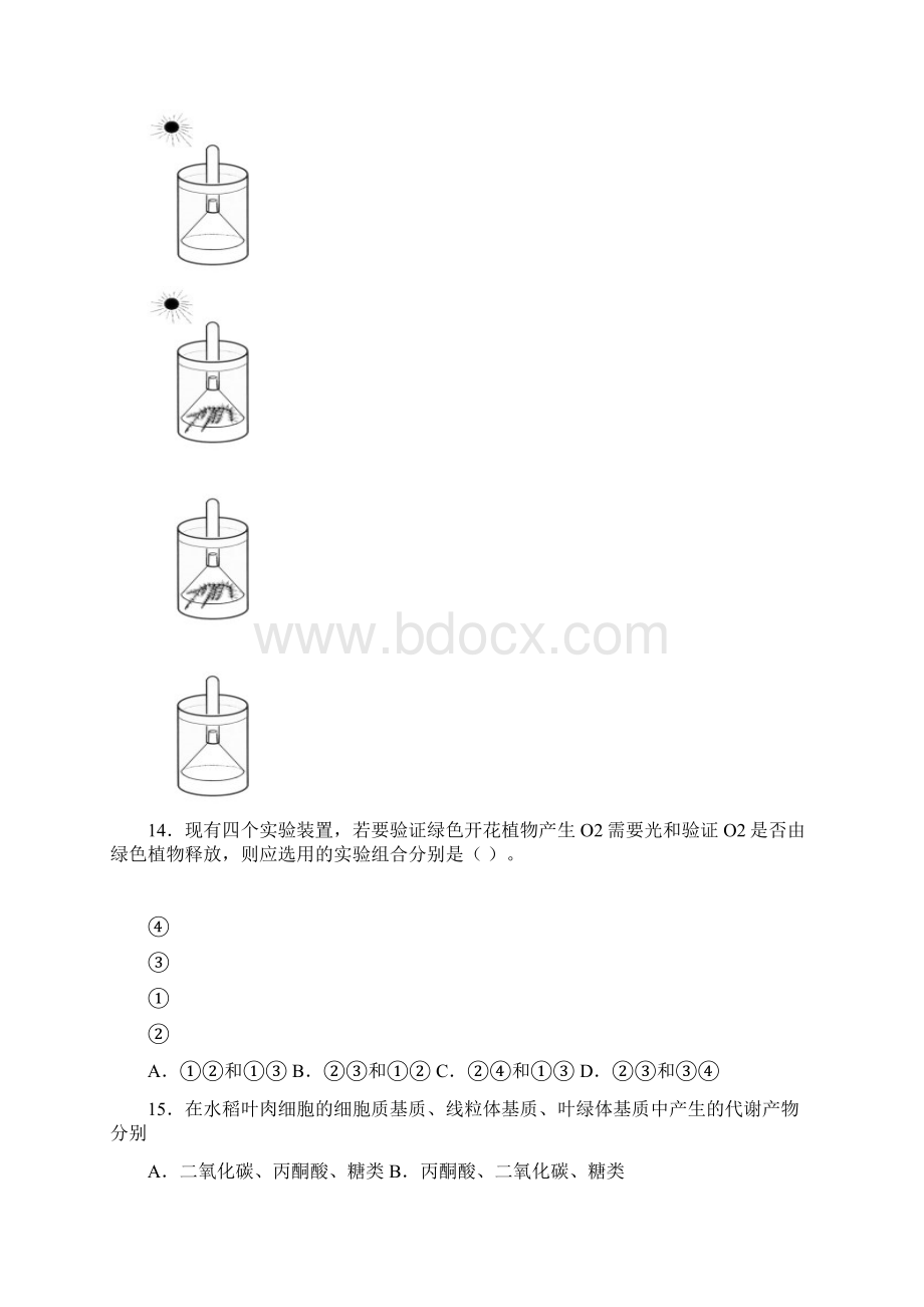 高三二轮专题复习 细胞呼吸与光合作用综合习题.docx_第3页