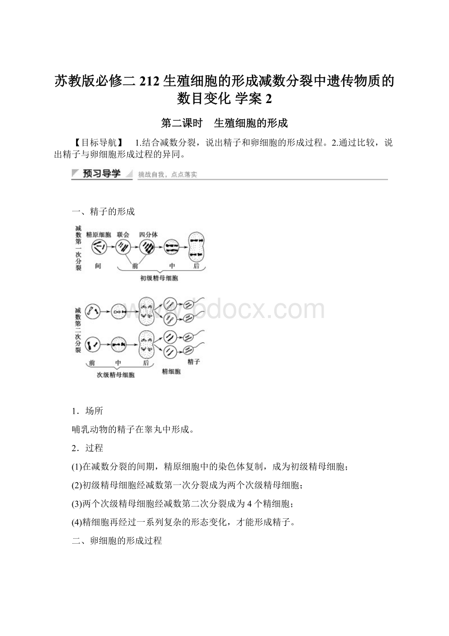 苏教版必修二 212 生殖细胞的形成减数分裂中遗传物质的数目变化 学案2.docx_第1页