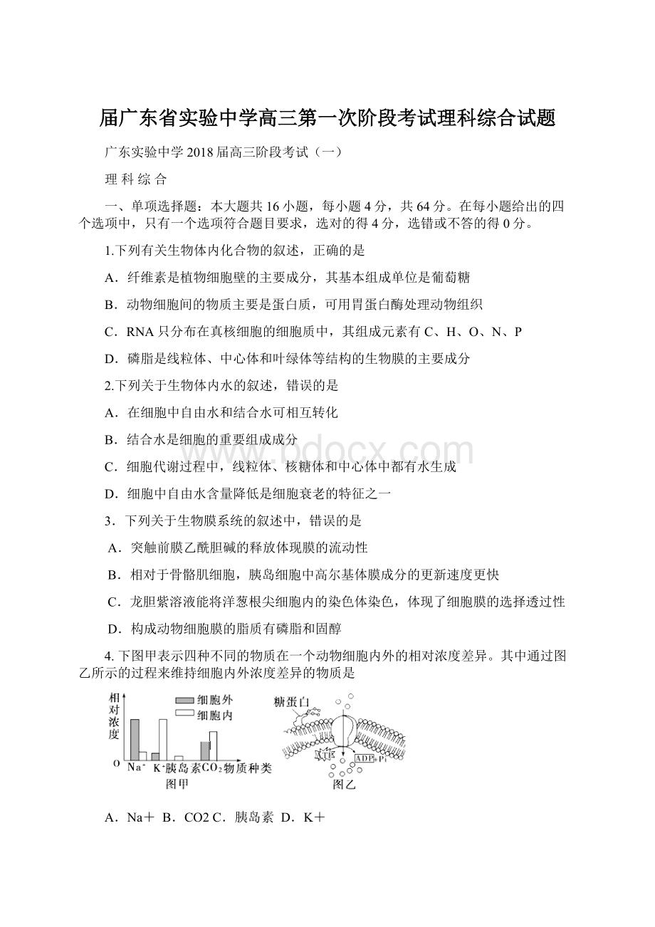 届广东省实验中学高三第一次阶段考试理科综合试题.docx_第1页