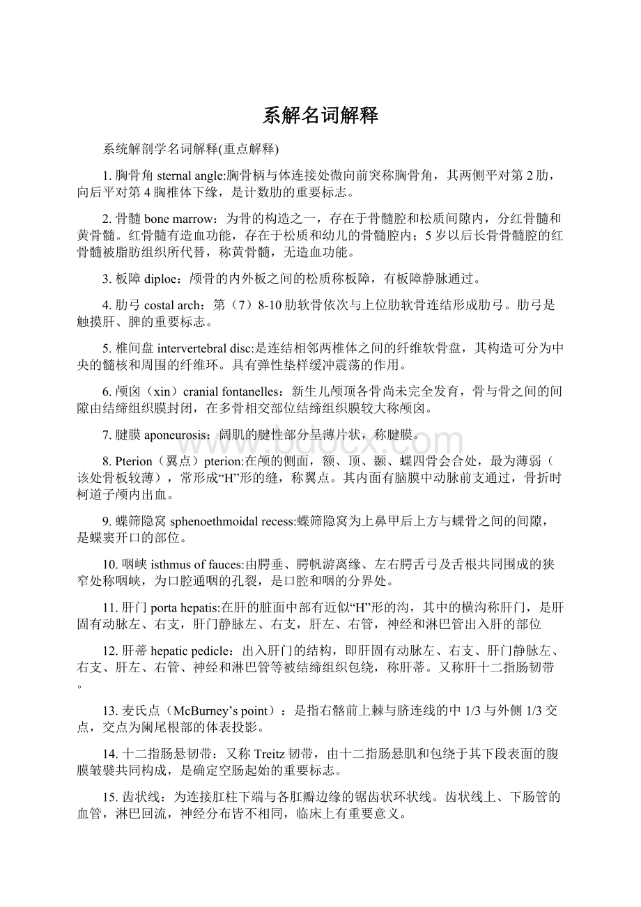 系解名词解释Word格式文档下载.docx