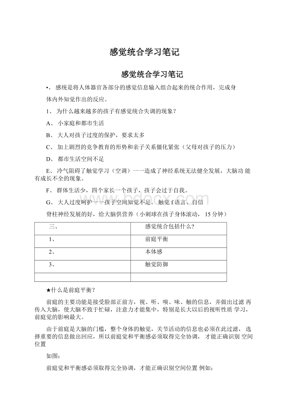 感觉统合学习笔记Word下载.docx_第1页