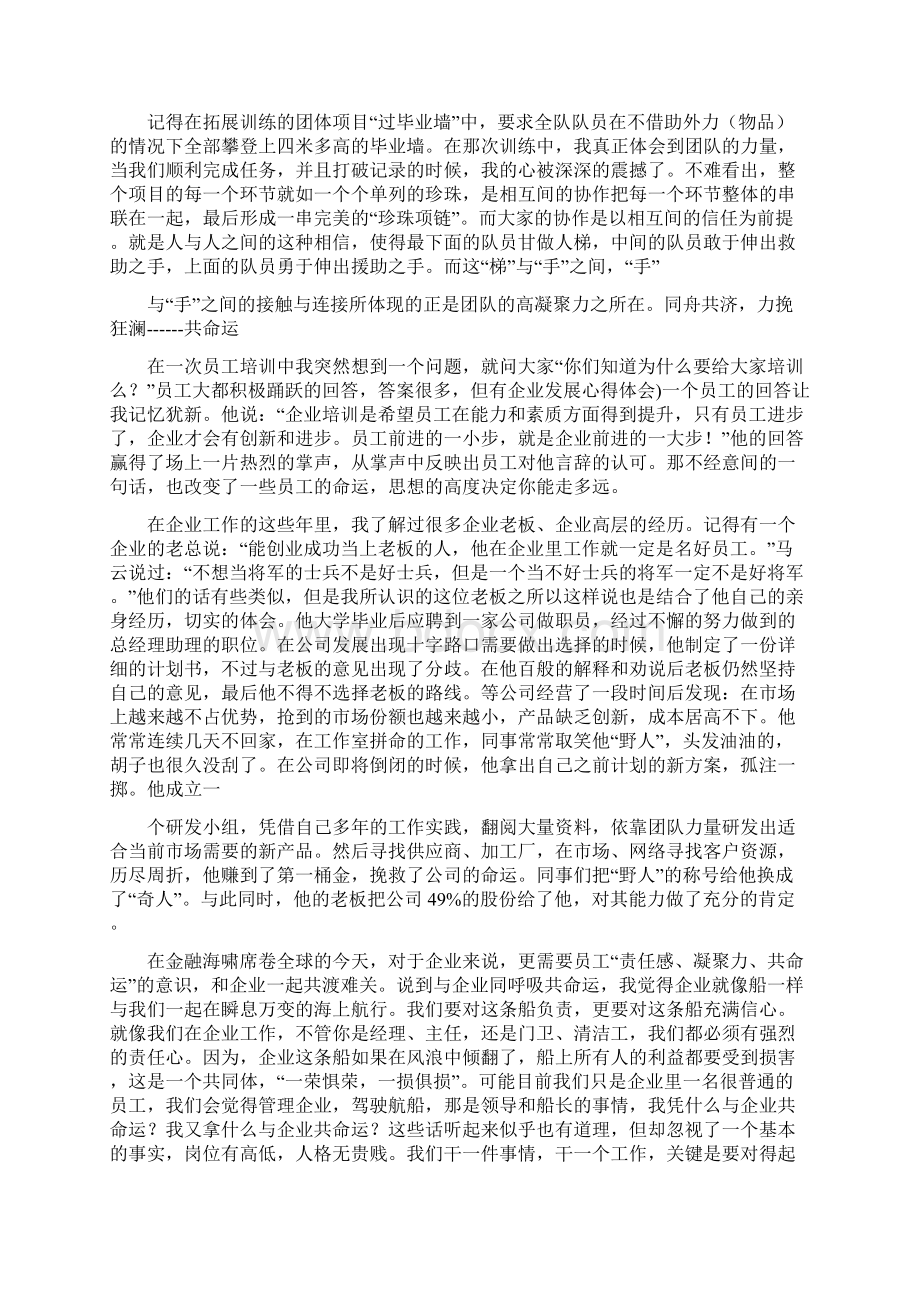 企业发展心得体会doc.docx_第2页