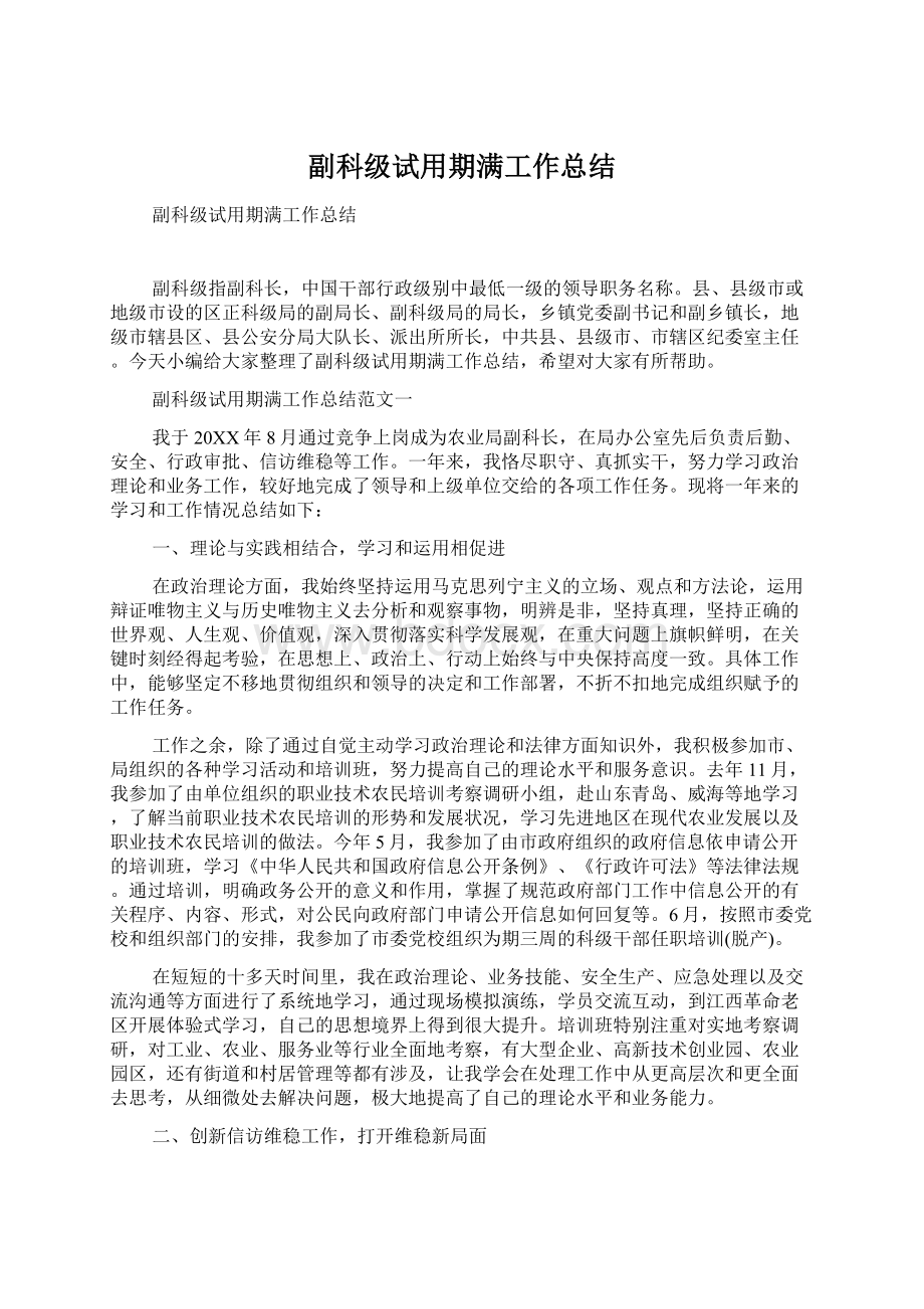 副科级试用期满工作总结.docx