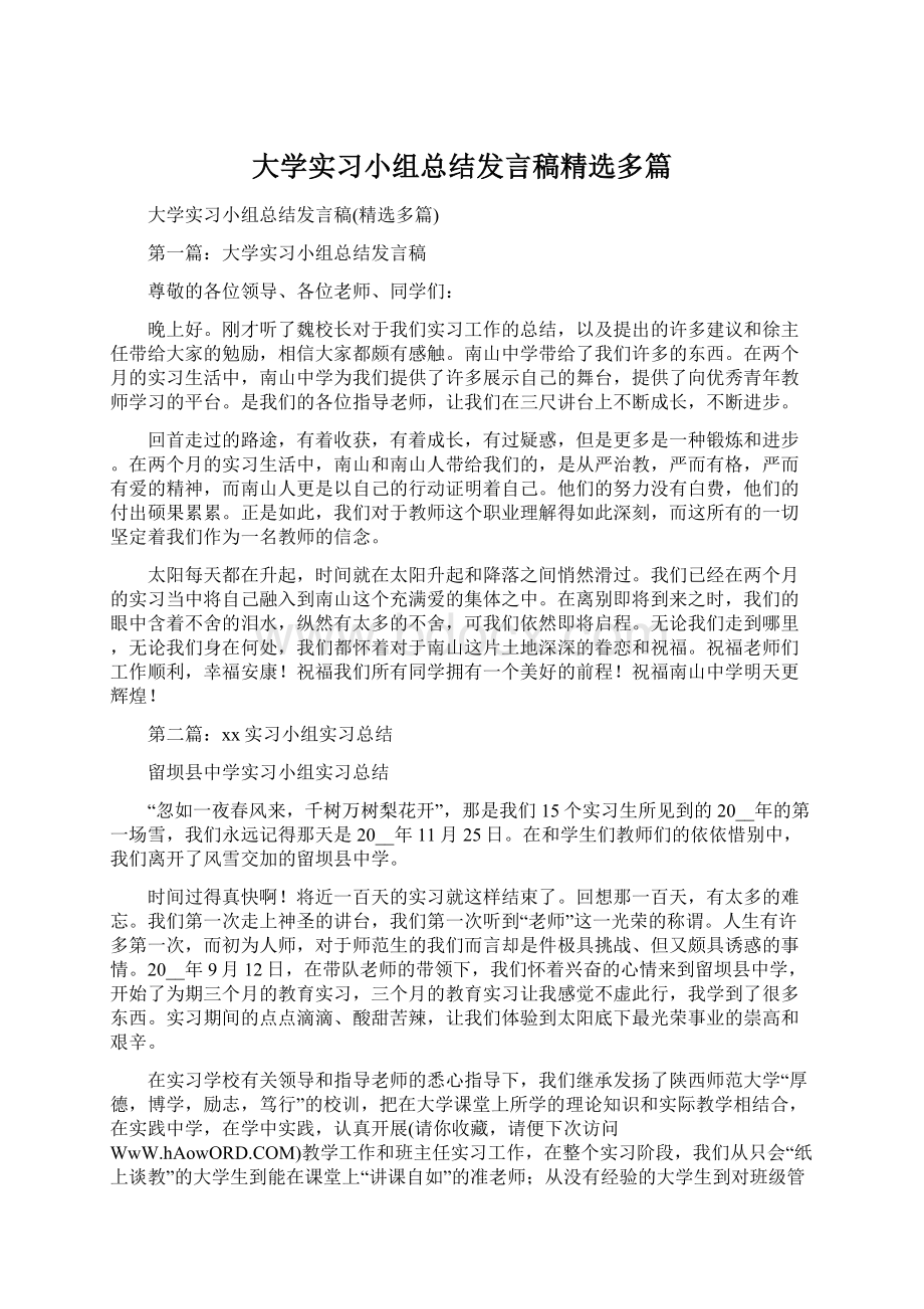 大学实习小组总结发言稿精选多篇.docx