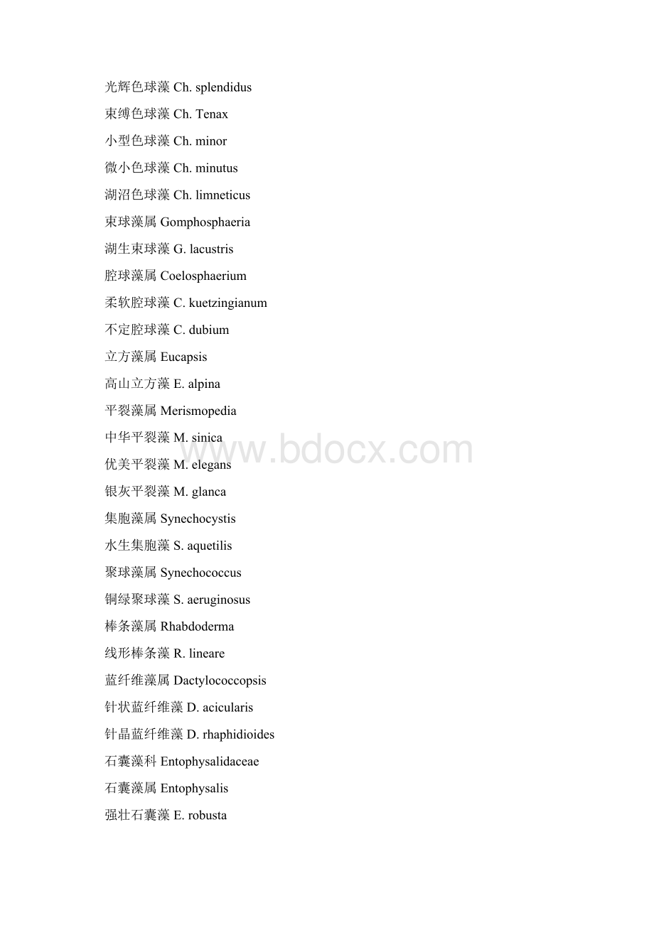 中国淡水藻类分类及名称Word文件下载.docx_第2页