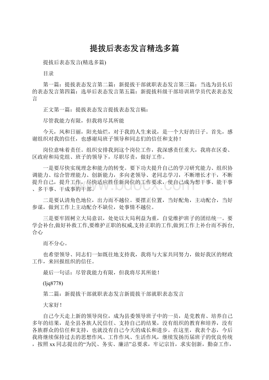 提拔后表态发言精选多篇.docx