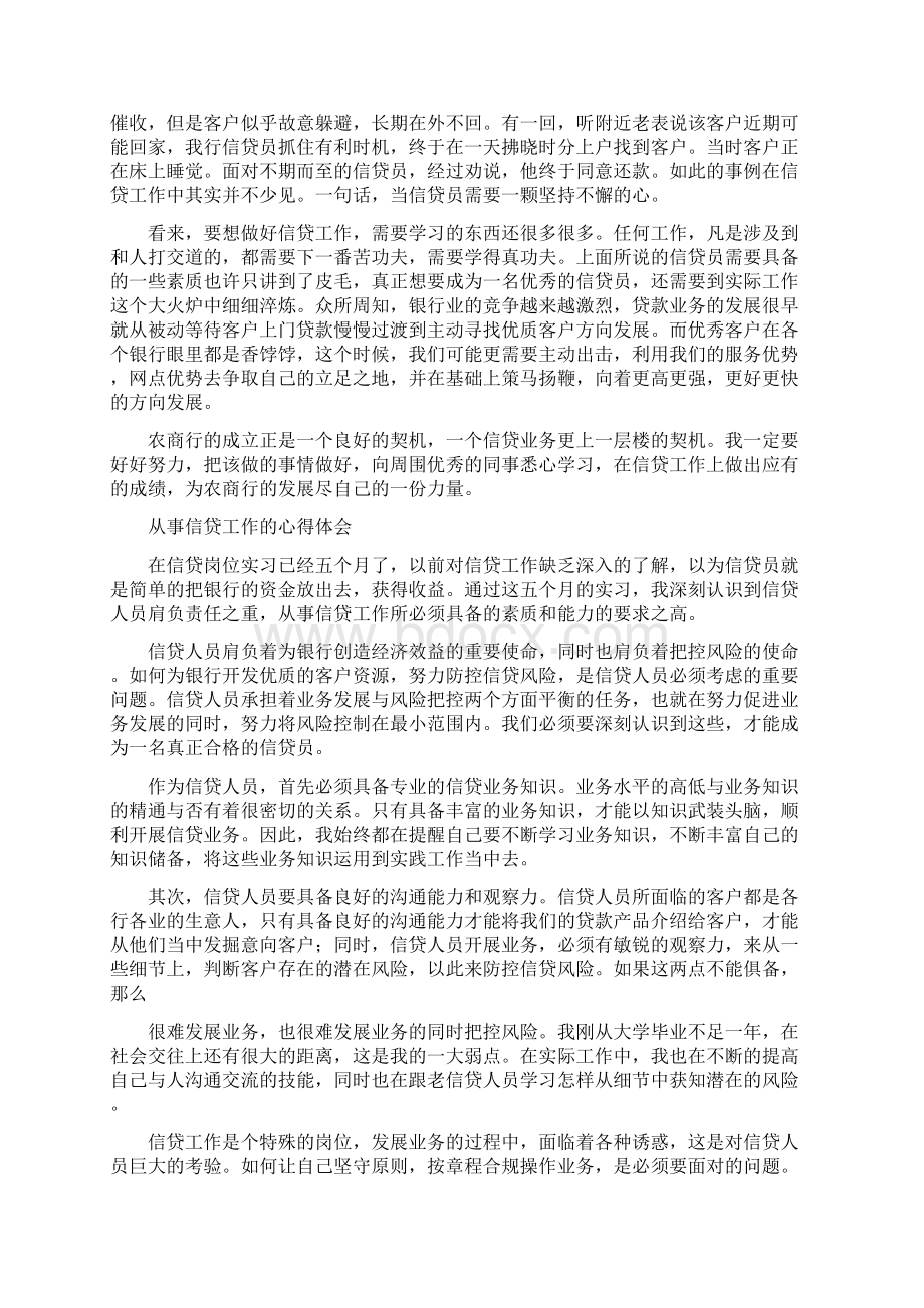 信贷工作心得体会Word下载.docx_第2页