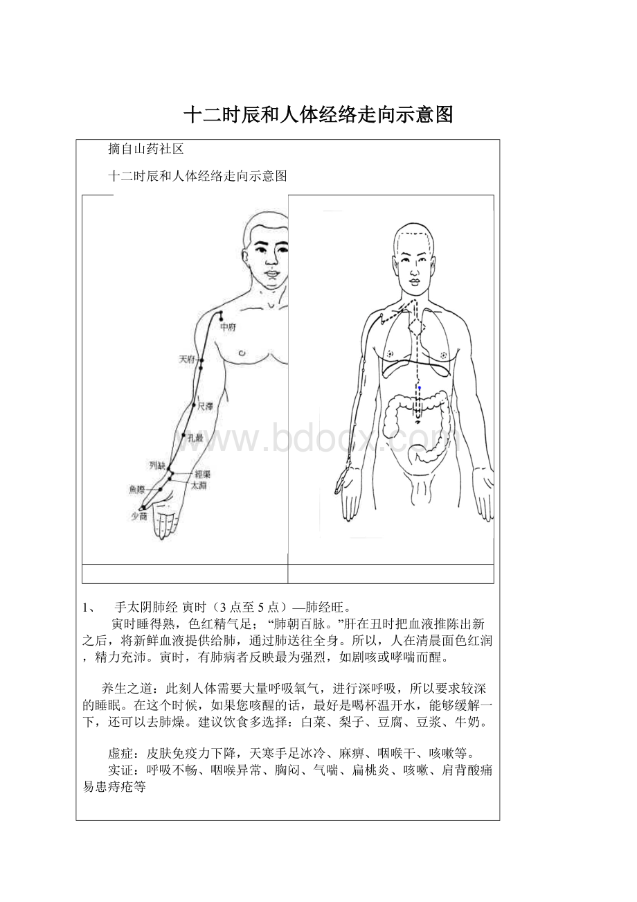 十二时辰和人体经络走向示意图.docx_第1页